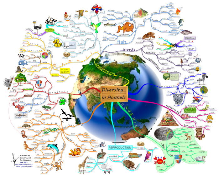 Mappy Awards 'Blue Marble - Diversity in Animals' mind map mad