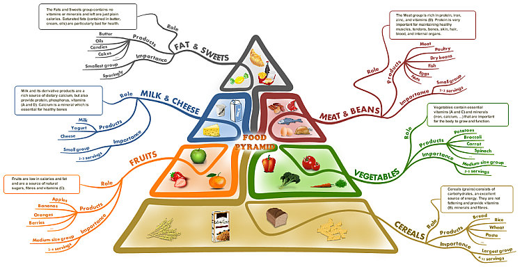 Philippe Packu 'Food Pyramid' Mind Map 'Mind Map Mad'