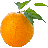 clip_Orange-pic