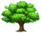 clip_Tree